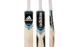 Cricket Bat Handle Types and Grip