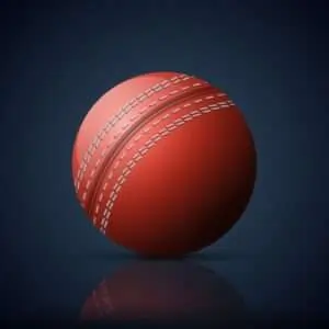 Role of the Cricket Ball in Bowling